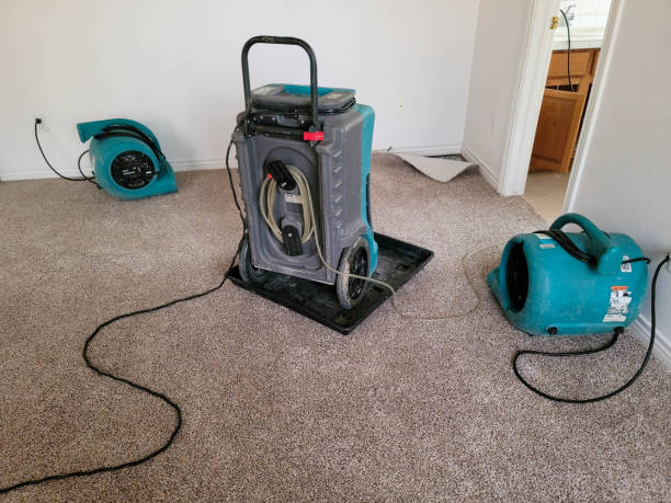 Best Water damage restoration near me  in Buda, TX