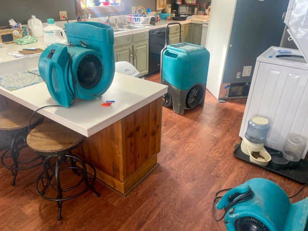 Best Mold removal after water damage  in Buda, TX