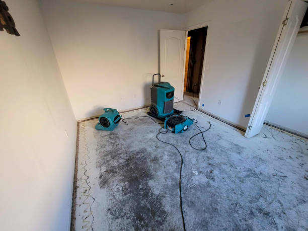 Best Carpet water damage restoration  in Buda, TX