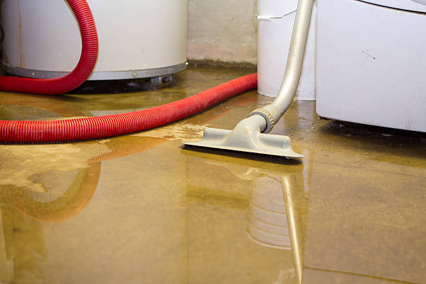 Best Basement water damage restoration  in Buda, TX