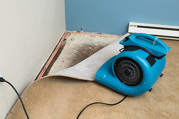Best 24/7 water damage repair  in Buda, TX